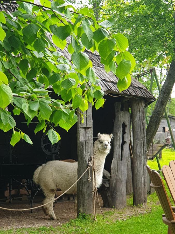 Vienkiemis Vendégház Kretinga Kültér fotó